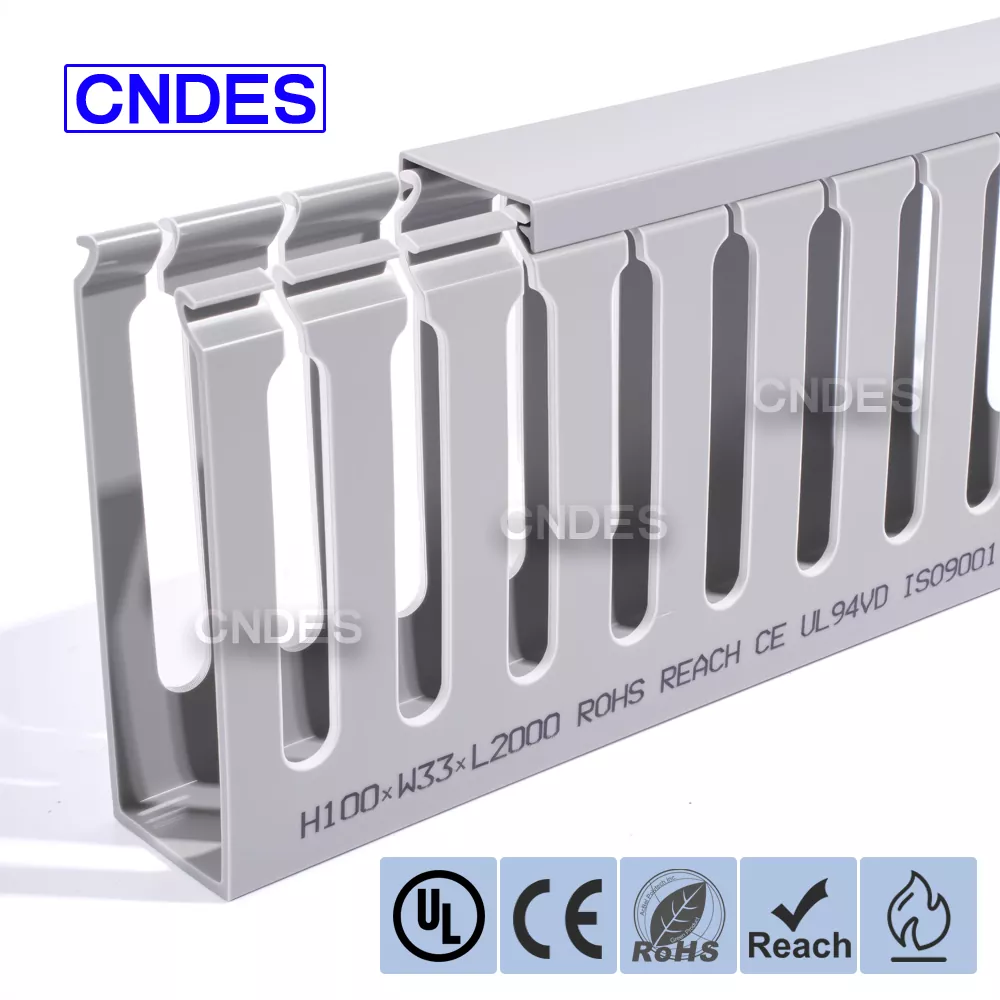 100×33 সার্ভার র্যাক কেবল ম্যানেজমেন্ট